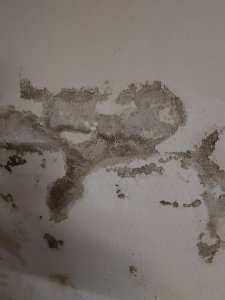 20230825_125722.jpg
