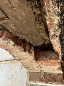 IMG_0561.jpeg