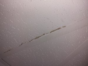 20230825_162247.jpg