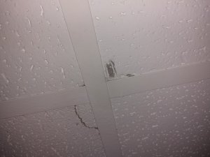 20230825_162234.jpg