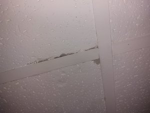 20230825_162223.jpg