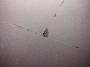 20230825_162219.jpg