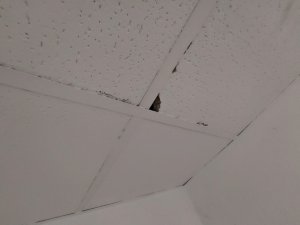 20230825_162211.jpg