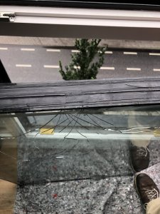 IMG_3564.jpeg