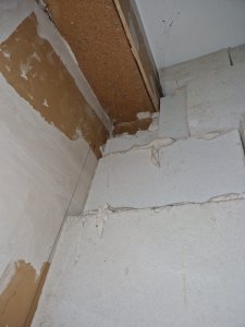 IMG-20230828-WA0015.jpg