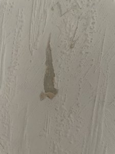 IMG_0113.jpeg