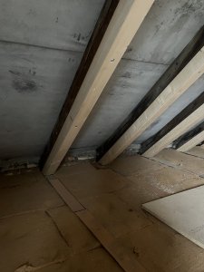 IMG_2944.jpeg