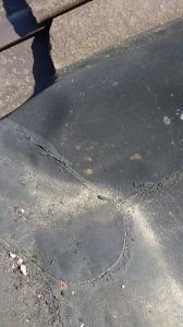 IMG_20230508_125843.jpg