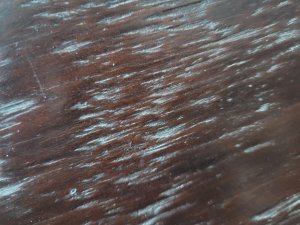 20230904_183148.jpg