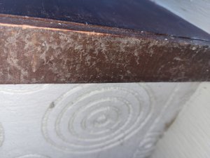 20230904_182715.jpg