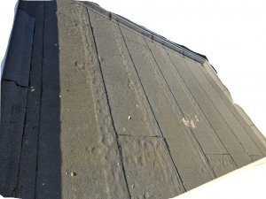20230907_184356.jpg