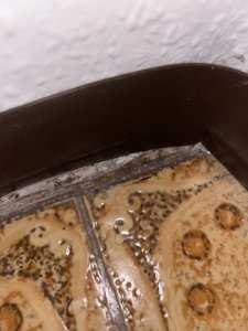 IMG_0189.jpeg