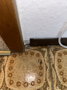 IMG_0193.jpeg