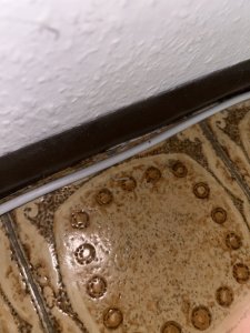 IMG_0195.jpeg