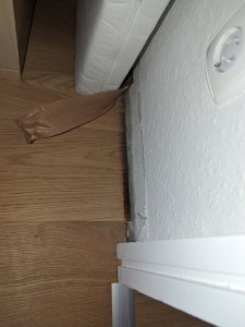 PXL_20230908_171242906.jpg