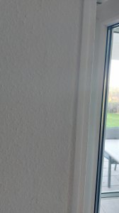 20230906_185459.jpg