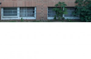 Fenster.jpg