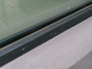 IMG_20230804_094841.jpg