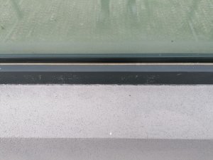 IMG_20230804_094835.jpg