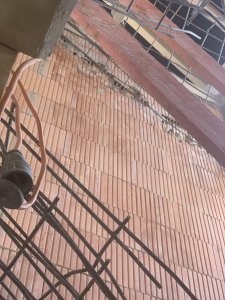 IMG_8002.jpeg