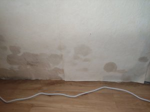 IMG_20230913_085501.jpg