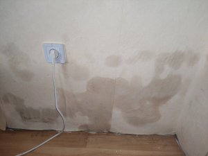 IMG_20230913_085453.jpg