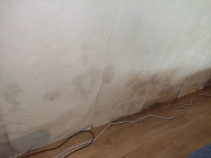 IMG_20230913_085517.jpg