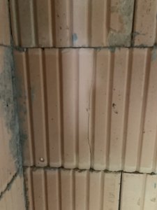 IMG_8052.jpeg