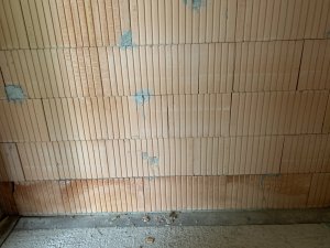 IMG_8050.jpeg