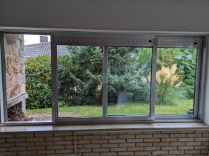 PXL_20230918_070457565.jpg