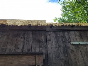 20230921_120506.jpg