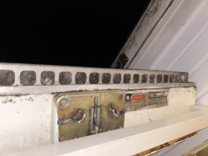 IMG_0219.jpeg
