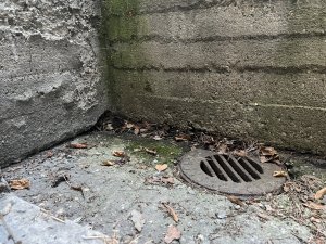 IMG_5443.jpeg