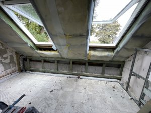 IMG_7753.JPG