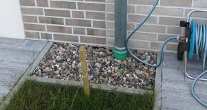 PXL_20230926_102130583.jpg