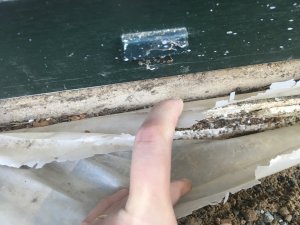 IMG_20230927_103856_0564.JPG