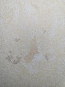 20230808_095532.jpg