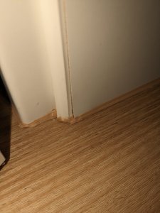 PXL_20230930_192800809.jpg