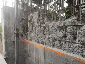 IMG_20230930_130948.jpg