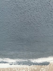 IMG_20230928_075458.jpg