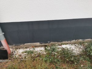 IMG_20230930_075726.jpg