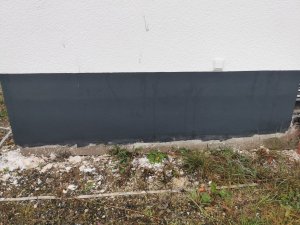 IMG_20230930_075811.jpg