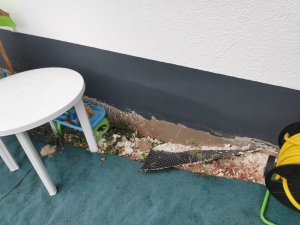 IMG_20230930_075829.jpg
