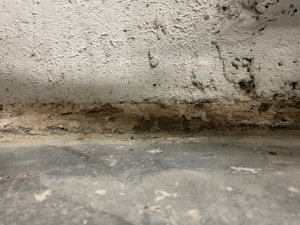mauer1.jpg
