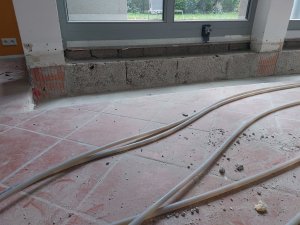 20231003_125011.jpg