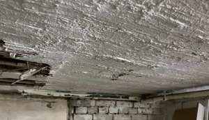 IMG_1466.jpeg