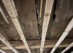 IMG_1467.jpeg