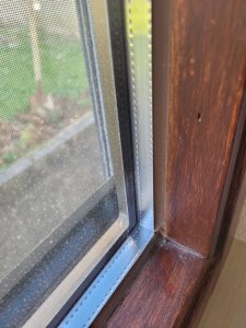 20231006_134636.jpg