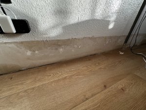 IMG_0259.jpeg