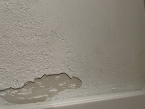 IMG_3910.JPG
